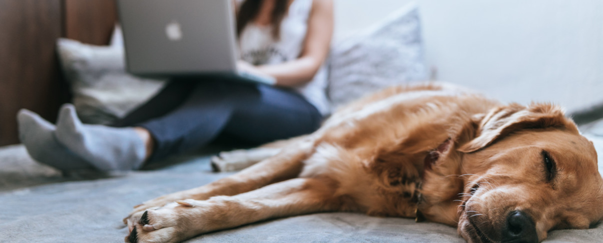 What will the British Working from Home Future Really Look Like in 2020? #WFH